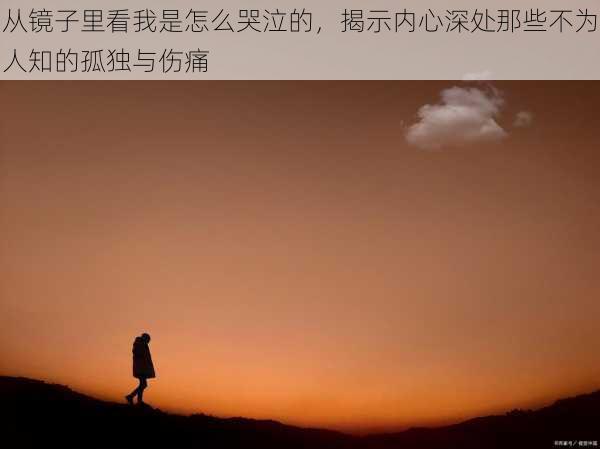 从镜子里看我是怎么哭泣的,揭示内心深处那些不为人知的孤独与伤痛