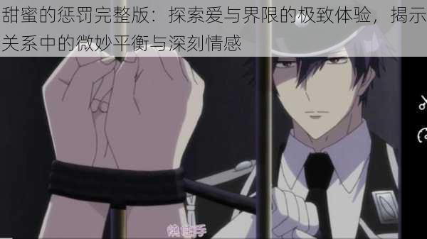 甜蜜的惩罚完整版:探索爱与界限的极致体验,揭示关系中的微妙平衡与深刻情感