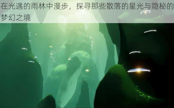 在光遇的雨林中漫步,探寻那些散落的星光与隐秘的梦幻之境