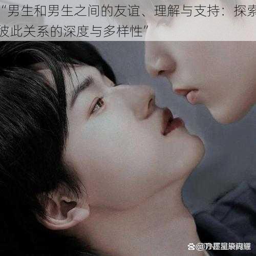“男生和男生之间的友谊、理解与支持：探索彼此关系的深度与多样性”