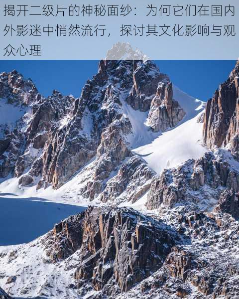 揭开二级片的神秘面纱:为何它们在国内外影迷中悄然流行,探讨其文化影响与观众心理