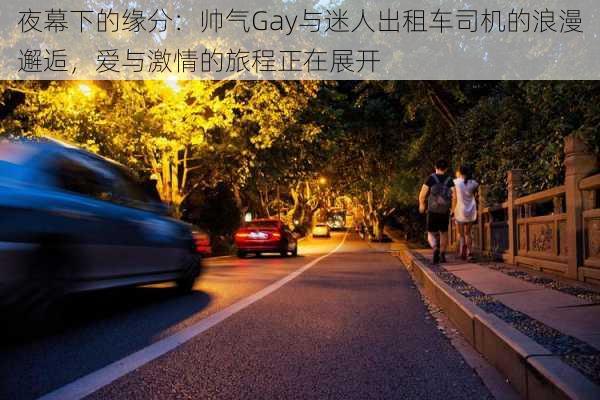 夜幕下的缘分:帅气Gay与迷人出租车司机的浪漫邂逅,爱与激情的旅程正在展开