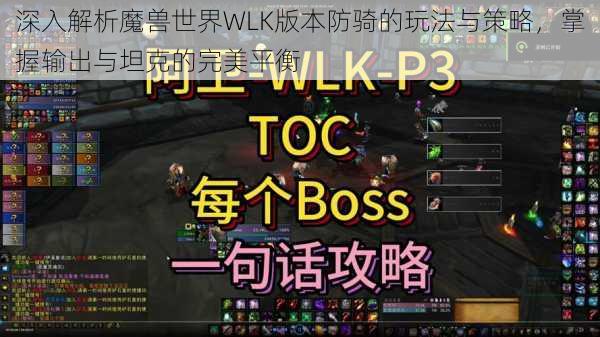 深入解析魔兽世界WLK版本防骑的玩法与策略,掌握输出与坦克的完美平衡
