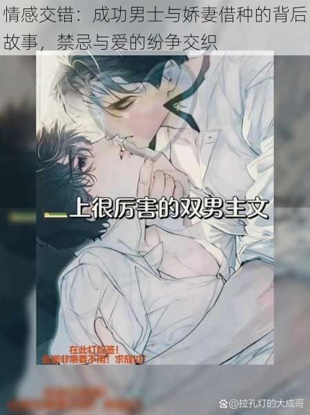情感交错:成功男士与娇妻借种的背后故事,禁忌与爱的纷争交织