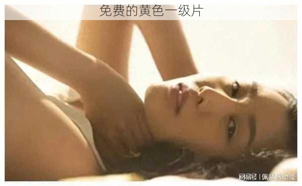 免费的黄色一级片