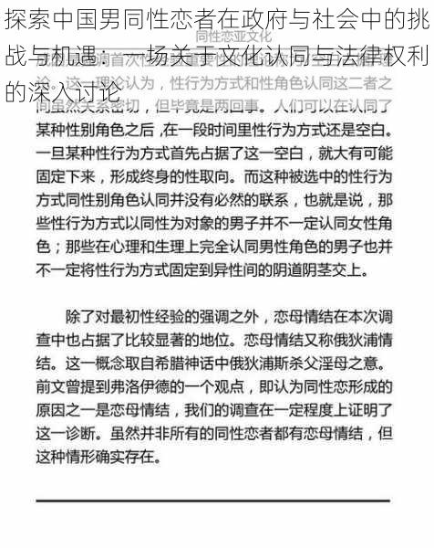 探索中国男同性恋者在政府与社会中的挑战与机遇:一场关于文化认同与法律权利的深入讨论