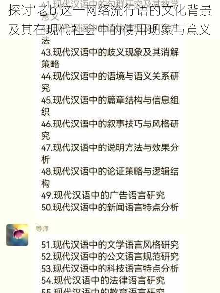 探讨‘老b’这一网络流行语的文化背景及其在现代社会中的使用现象与意义