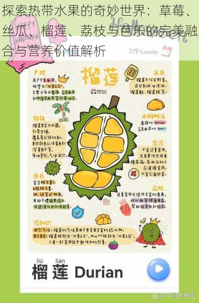 探索热带水果的奇妙世界：草莓、丝瓜、榴莲、荔枝与芭乐的完美融合与营养价值解析