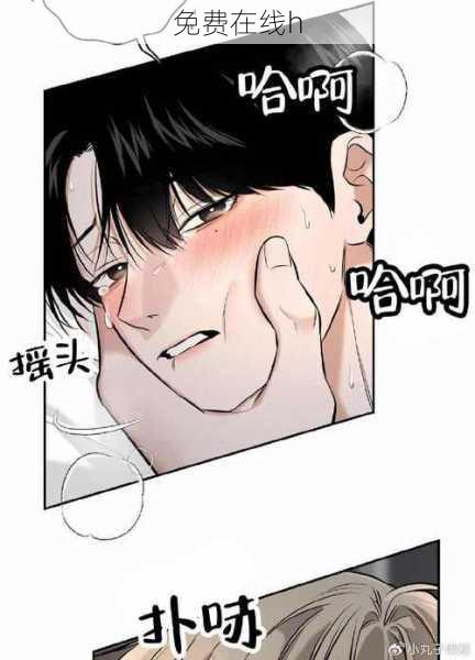 免费在线h