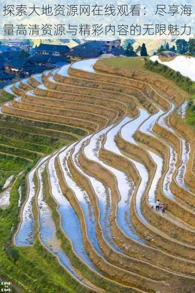 探索大地资源网在线观看:尽享海量高清资源与精彩内容的无限魅力
