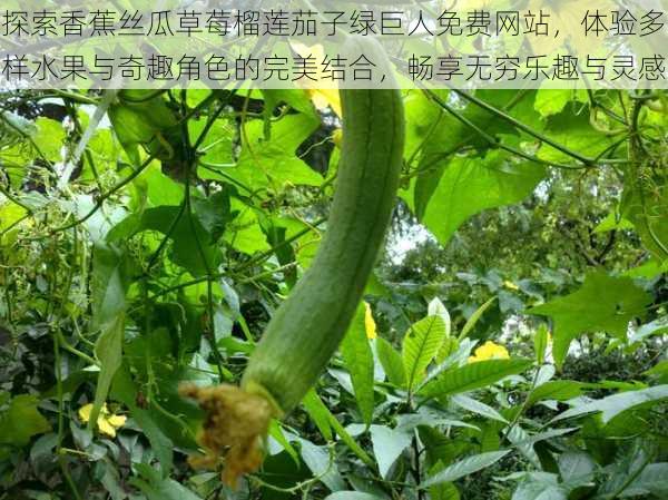 探索香蕉丝瓜草莓榴莲茄子绿巨人免费网站,体验多样水果与奇趣角色的完美结合,畅享无穷乐趣与灵感