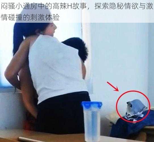 闷骚小通房中的高辣H故事,探索隐秘情欲与激情碰撞的刺激体验