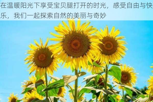 在温暖阳光下享受宝贝腿打开的时光,感受自由与快乐,我们一起探索自然的美丽与奇妙