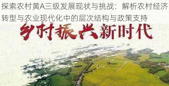 探索农村黄A三级发展现状与挑战:解析农村经济转型与农业现代化中的层次结构与政策支持