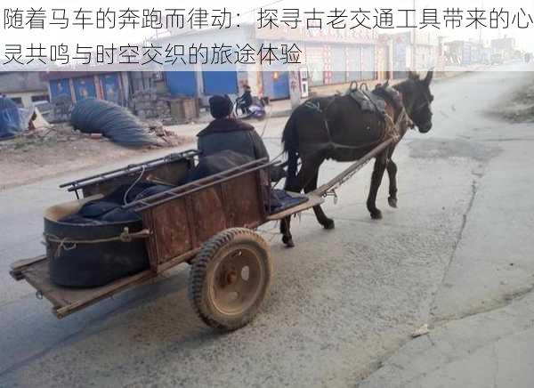 随着马车的奔跑而律动:探寻古老交通工具带来的心灵共鸣与时空交织的旅途体验