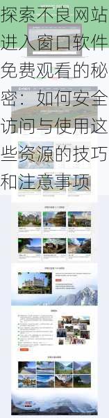 探索不良网站进入窗口软件免费观看的秘密:如何安全访问与使用这些资源的技巧和注意事项