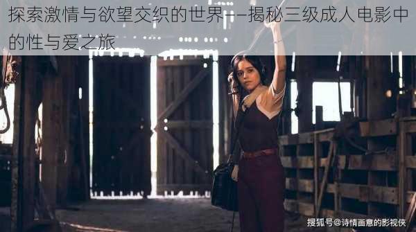 探索激情与欲望交织的世界——揭秘三级成人电影中的性与爱之旅