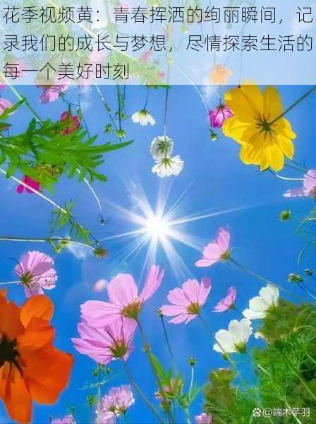 花季视频黄:青春挥洒的绚丽瞬间,记录我们的成长与梦想,尽情探索生活的每一个美好时刻