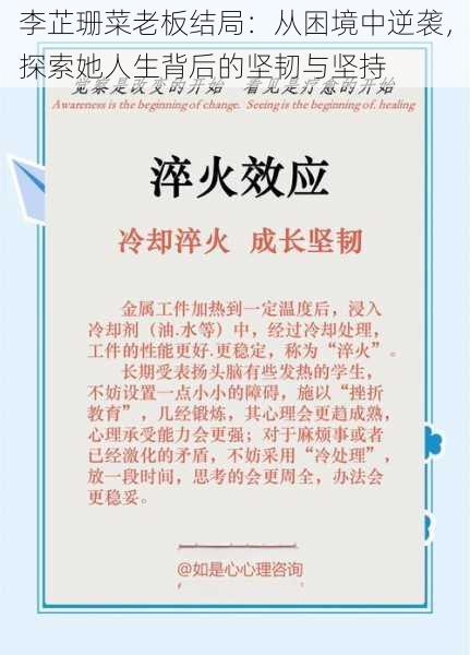 李芷珊菜老板结局:从困境中逆袭,探索她人生背后的坚韧与坚持