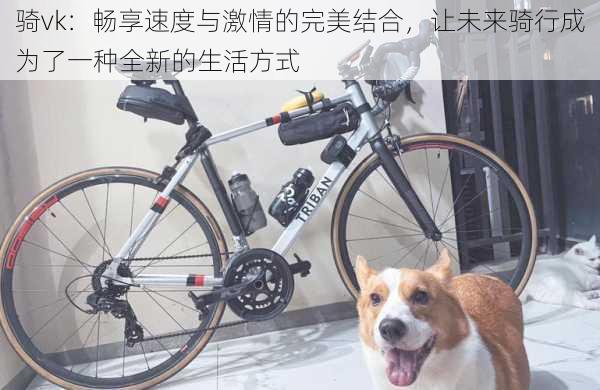 骑vk:畅享速度与激情的完美结合,让未来骑行成为了一种全新的生活方式