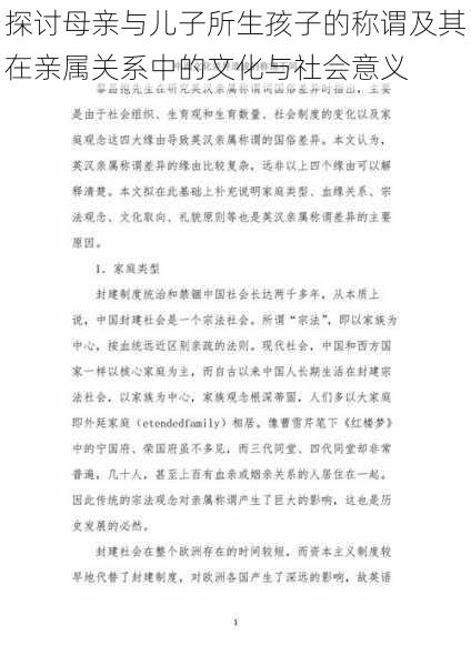 探讨母亲与儿子所生孩子的称谓及其在亲属关系中的文化与社会意义
