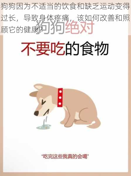 狗狗因为不适当的饮食和缺乏运动变得过长,导致身体疼痛,该如何改善和照顾它的健康?