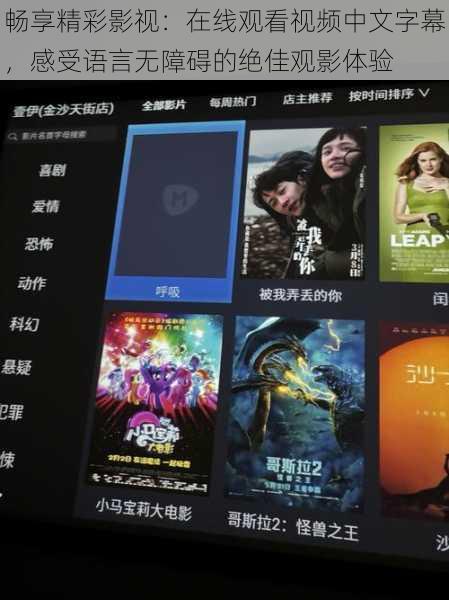 畅享精彩影视:在线观看视频中文字幕,感受语言无障碍的绝佳观影体验