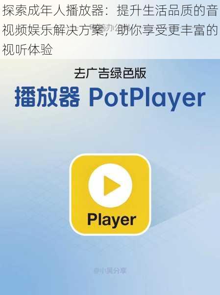 探索成年人播放器:提升生活品质的音视频娱乐解决方案,助你享受更丰富的视听体验