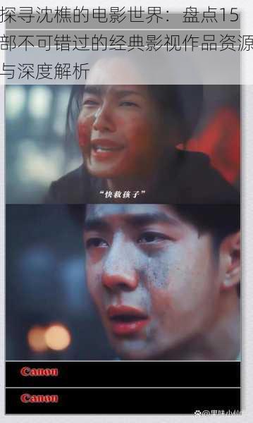 探寻沈樵的电影世界:盘点15部不可错过的经典影视作品资源与深度解析