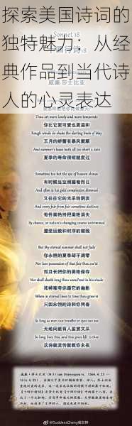 探索美国诗词的独特魅力:从经典作品到当代诗人的心灵表达