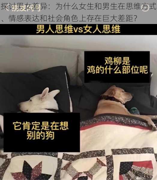 探讨男女差异:为什么女生和男生在思维方式、情感表达和社会角色上存在巨大差距?