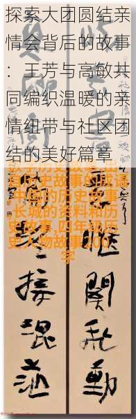 探索大团圆结亲情会背后的故事：王芳与高敏共同编织温暖的亲情纽带与社区团结的美好篇章