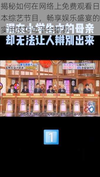 揭秘如何在网络上免费观看日本综艺节目,畅享娱乐盛宴的实用技巧与平台推荐