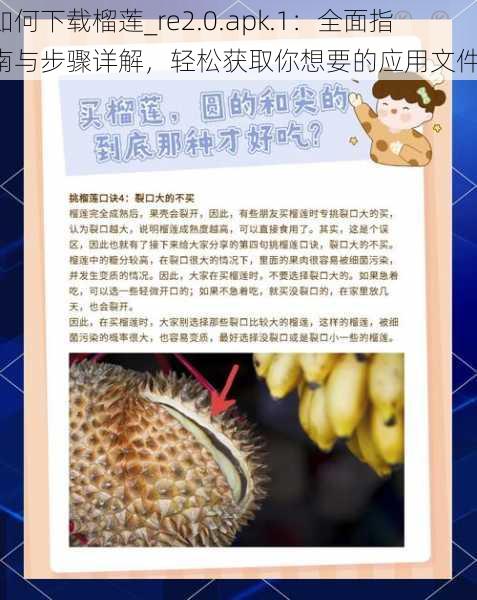 如何下载榴莲_re2.0.apk.1:全面指南与步骤详解,轻松获取你想要的应用文件!