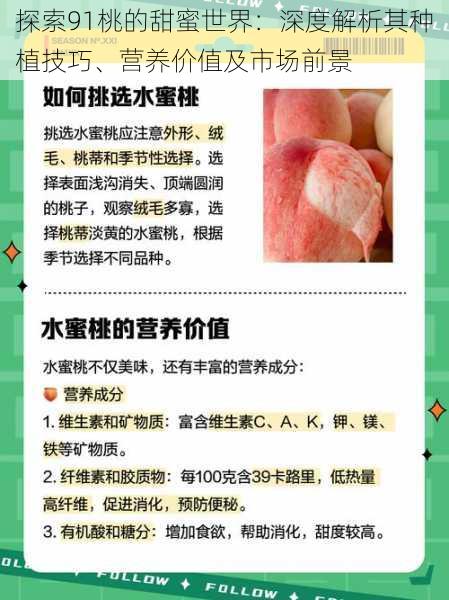 探索91桃的甜蜜世界:深度解析其种植技巧、营养价值及市场前景