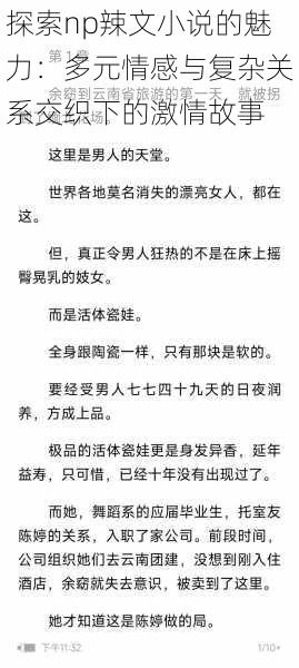 探索np辣文小说的魅力:多元情感与复杂关系交织下的激情故事