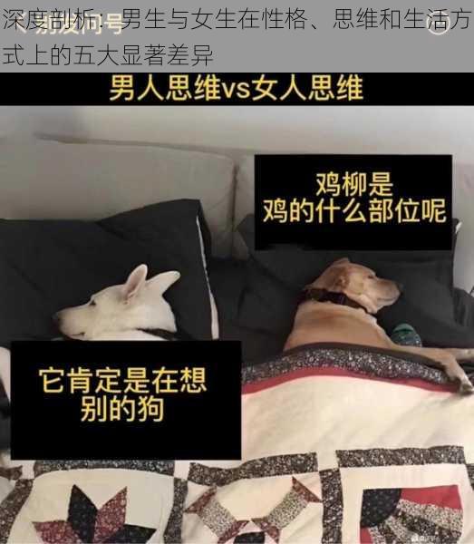 深度剖析:男生与女生在性格、思维和生活方式上的五大显著差异