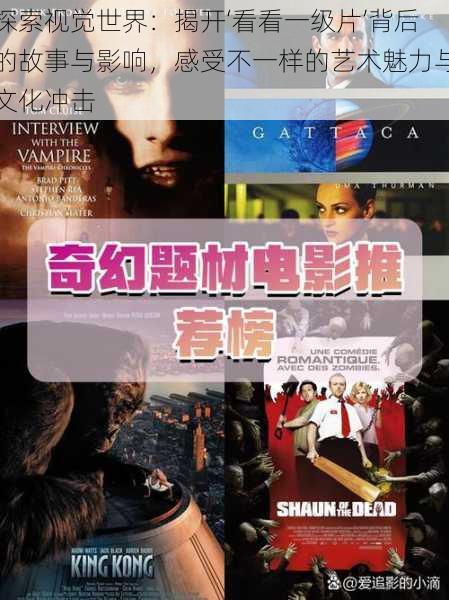 探索视觉世界:揭开‘看看一级片’背后的故事与影响,感受不一样的艺术魅力与文化冲击