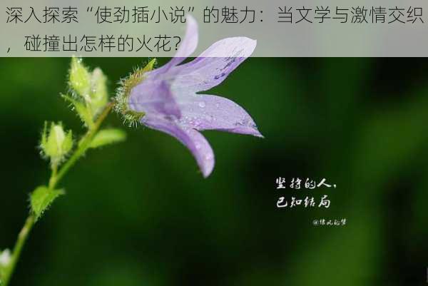 深入探索“使劲插小说”的魅力:当文学与激情交织,碰撞出怎样的火花?