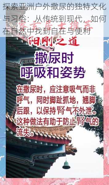 探索亚洲户外撒尿的独特文化与习俗:从传统到现代,如何在自然中找到自在与便利