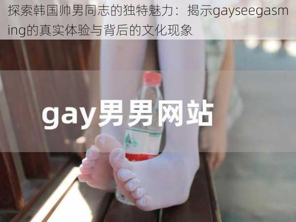 探索韩国帅男同志的独特魅力:揭示gayseegasming的真实体验与背后的文化现象