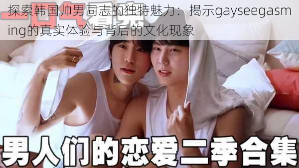 探索韩国帅男同志的独特魅力:揭示gayseegasming的真实体验与背后的文化现象