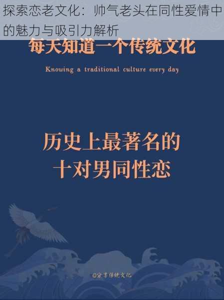 探索恋老文化:帅气老头在同性爱情中的魅力与吸引力解析