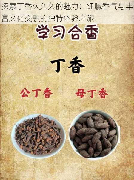 探索丁香久久久的魅力:细腻香气与丰富文化交融的独特体验之旅