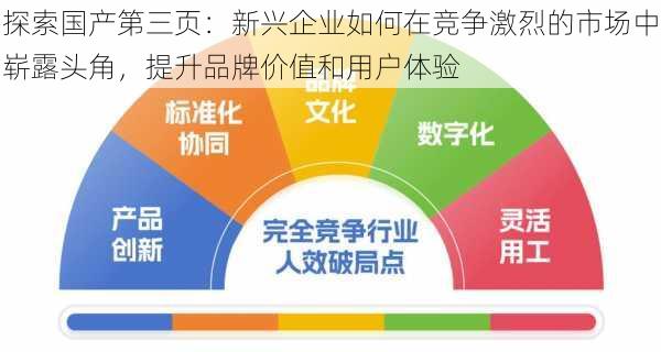探索国产第三页:新兴企业如何在竞争激烈的市场中崭露头角,提升品牌价值和用户体验