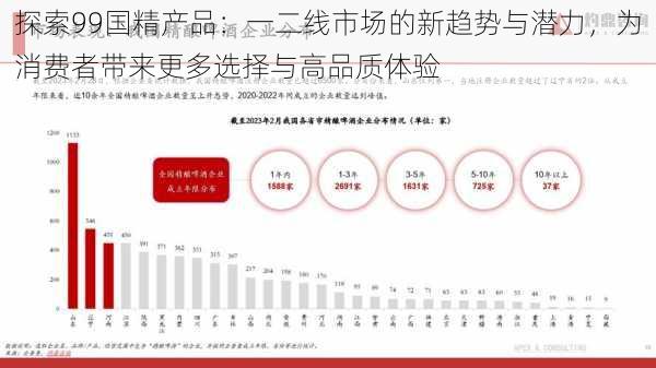 探索99国精产品:一二线市场的新趋势与潜力,为消费者带来更多选择与高品质体验
