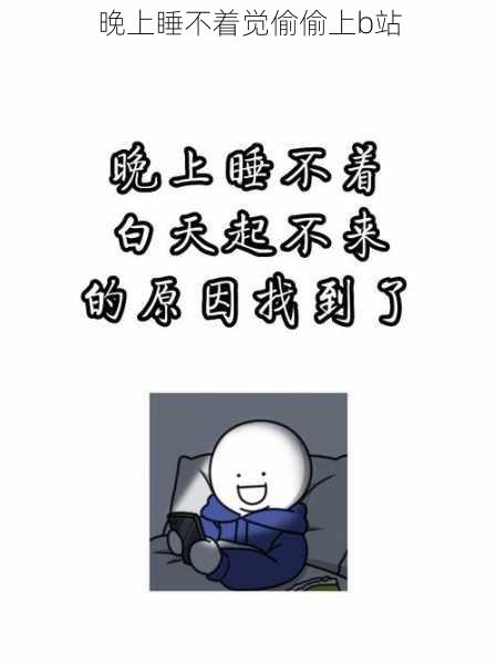 晚上睡不着觉偷偷上b站