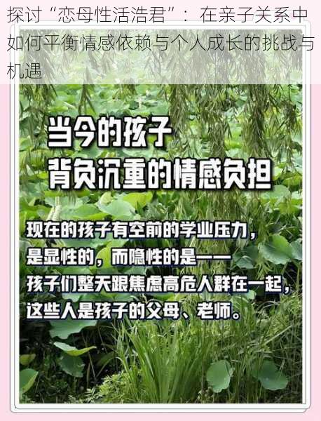探讨“恋母性活浩君”:在亲子关系中如何平衡情感依赖与个人成长的挑战与机遇