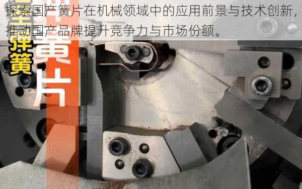 探索国产簧片在机械领域中的应用前景与技术创新，推动国产品牌提升竞争力与市场份额。