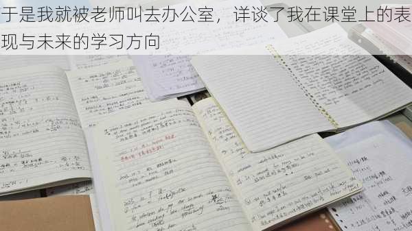 于是我就被老师叫去办公室,详谈了我在课堂上的表现与未来的学习方向